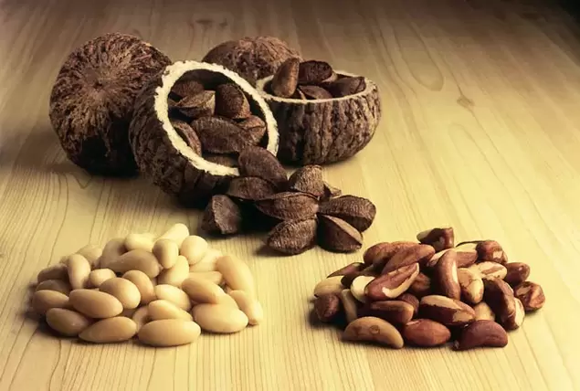 Brazilian nut for activity