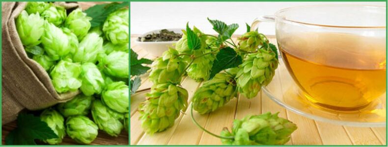decoction of hop cones for activity after 50