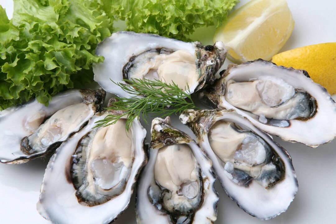 oysters for dynamic photography 1