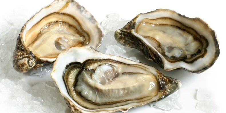 oysters for dynamic photography 2