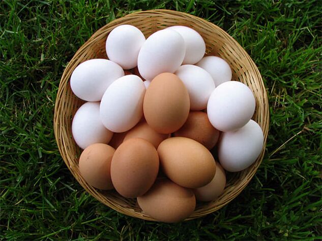 Chicken eggs enhance erection and increase male libido