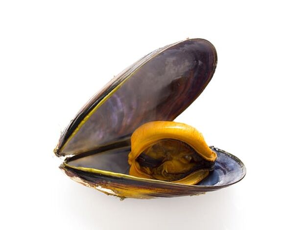 Due to the high content of zinc, mussels improve sperm quality